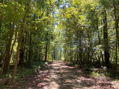 0 Reynolds Rd, Tensaw, AL 36579 - photo 6