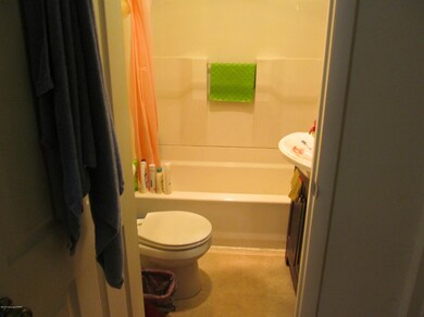 65 N 3rd St unit Upper, Stroudsburg, PA 18360 - photo 6