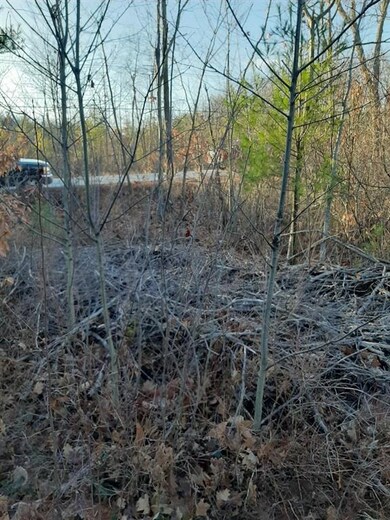 00 New Hampshire 25, Meredith, NH 03253 - photo 2