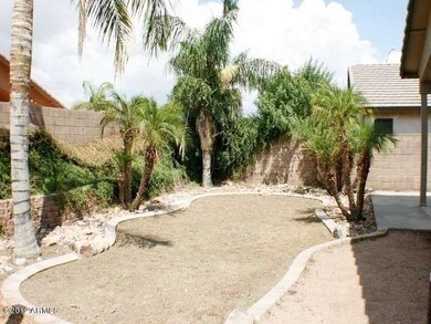 023-379515 - Backyard