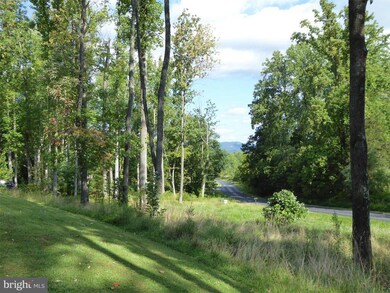 1602 Buck Mountain Rd, Bentonville, VA 22610 - photo 6