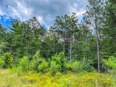 0 Tbd Highway 87 unit LotWP001, Bleakwood, TX 75956 - photo 5