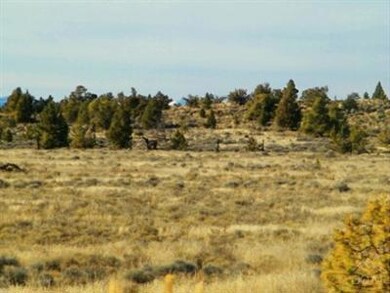 unlisted-address, Powell Butte, OR 97753 - photo 6