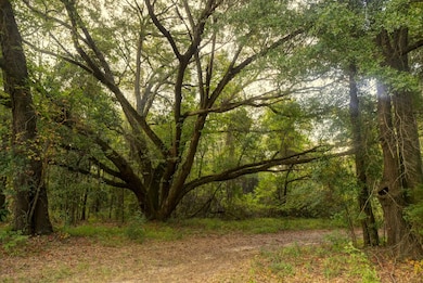 31 Georgia 41, Morgan, GA 39866 - photo 6