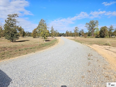 305 Carolina St, Monroe, LA 71202 - photo 4