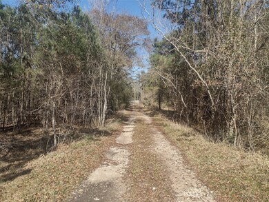 0 Oak Ln, Magnolia, TX 77354 - photo 3