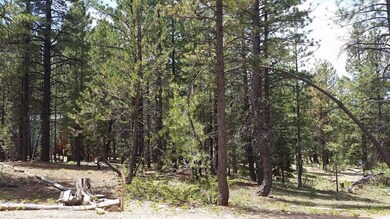 1010 N Pine Knoll Loop unit SCP 1-4-73, Duck Creek Village, UT 84762 - photo 6