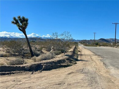 0 Old Woman Springs unit SW25265380, Yucca Valley, CA 92284 - photo 3