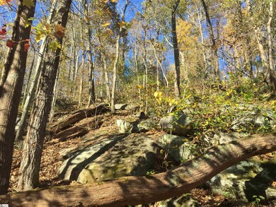 19 Grosbeak Way, Landrum, SC 29356 - photo 6