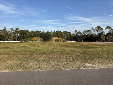 14950 Mim Place, Dade City, FL 33525 - photo 3