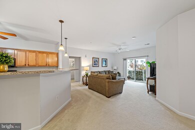 23580 F D R Blvd unit 201, California, MD 20619 - photo 7