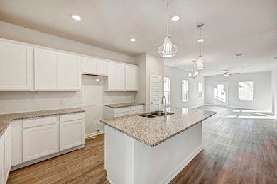 13203 Hayden Peak Dr, Arcola, TX 77583 - photo 6