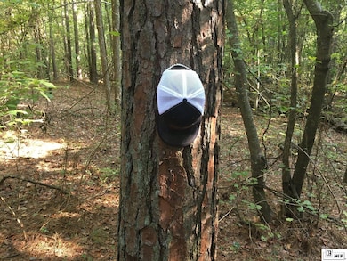 000 Highway 552 unit 20ac+/- North and So, Downsville, LA 71234 - photo 7