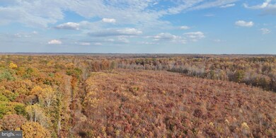 0 Grasty Goldmine Rd unit VAOR2006002, Rhoadesville, VA 22542 - photo 3