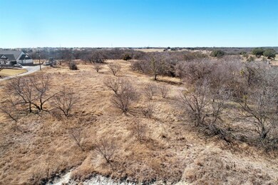TBD Goldfinch Ln, Weatherford, TX 76088 - photo 3