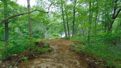 Lot 11 Easy St, Lincoln, ME 04457 - photo 4