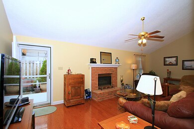 Cozy Gas Fireplace