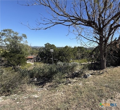 651 Scott Way, Canyon Lake, TX 78133 - photo 4