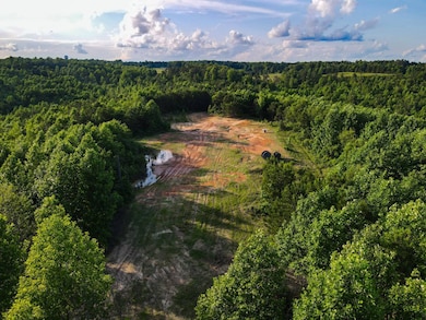 0 Hyde Rd, Phil Campbell, AL 35581 - photo 2