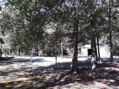 489 Dixie Trail Rd, Lumber Bridge, NC 28357 - photo 5