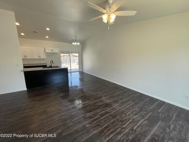 349 Valle Bonita Dr, Farmington, NM 87401 - photo 7