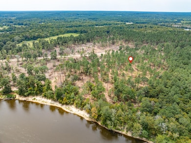 1.01 Mol Ac Old Hwy 24 Parcel 15, Mc Lain, MS 39456 - photo 6