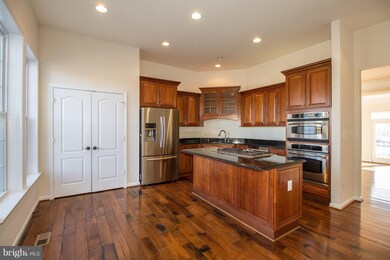 42026 Angel Arch Terrace, Stone Ridge, VA 20105 - photo 6