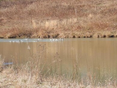 23561 Thompson Rd, Howard, OH 43028 - photo 6