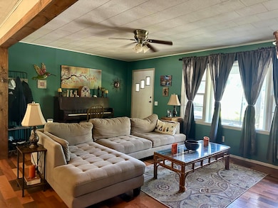 94 Hillcrest Rd, Mammoth Spring, AR 72554 - photo 3