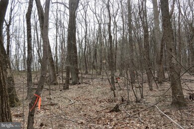 0 Old Ski Lodge Ln unit VARP106168, Washington, VA 22747 - photo 6