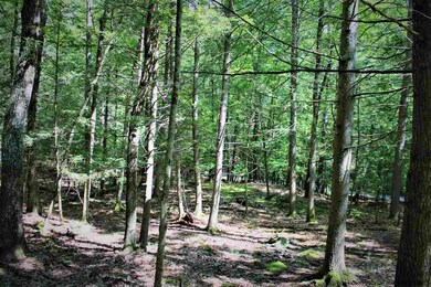 TBD Bone Hollow Rd, Accord, NY 12404 - photo 3