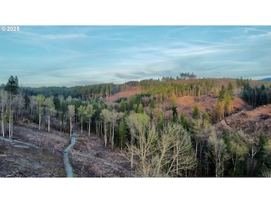 0 S Hult Rd, Beavercreek, OR 97004 - photo 4