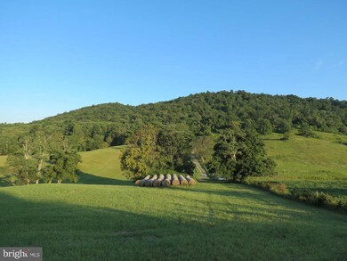 199 Cooksey Ln, Flint Hill, VA 22627 - photo 4