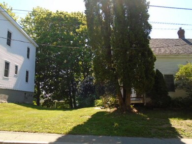 back yard