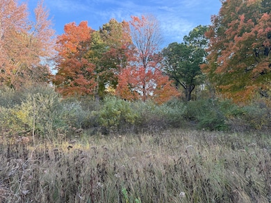 5950 S Lake George Rd, Dryden, MI 48428 - photo 5