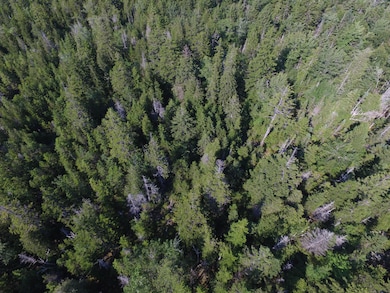 DJI_0036