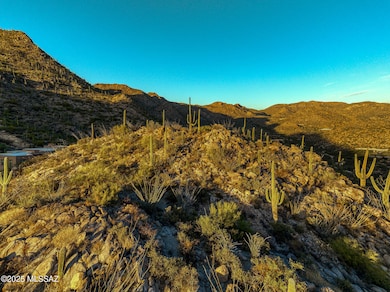 4365 W Cush Canyon Loop unit 82, Marana, AZ 85658 - photo 6