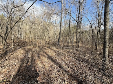 000 Ottofy Way, Eminence, MO 65466 - photo 4