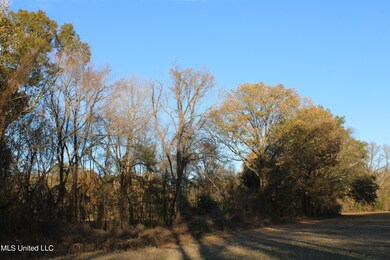 IMG_0401
