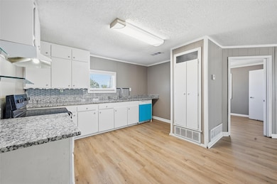 13485 Liberty School Rd unit 2, Azle, TX 76020 - photo 6