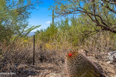 7351 N Secret Canyon Dr unit 48, Catalina Foothills, AZ 85718 - photo 7