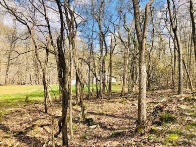 17818 Arkady Way, Winslow, AR 72959 - photo 4