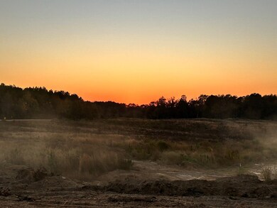 unlisted-address, Liberty, MS 39645 - photo 7