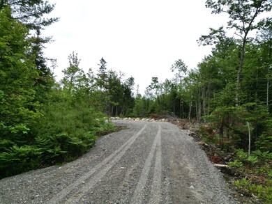 Off Main Rd, Passadumkeag, ME 04475 - photo 3