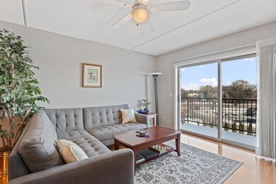 351 Town Place Cir unit 407, Buffalo Grove, IL 60089 - photo 3