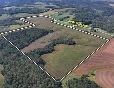 0 Stump Ridge Rd, Viroqua, WI 54665 - photo 5