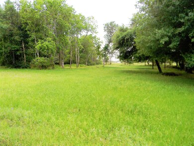 00 A St, Waller, TX 77484 - photo 5