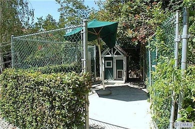 Dog Run