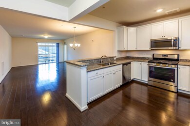 510 Quarry View Ct unit 205, Reisterstown, MD 21136 - photo 4