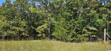 00000 E 994 Rd, Redbird Smith, OK 74435 - photo 6